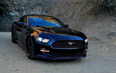 Фон рабочего стола где видно Ford Mustang, авто оранжевое с черным, тюнинг,  лето, обои на рабочий стол, orange and black cars, tuning, summer, wallpaper