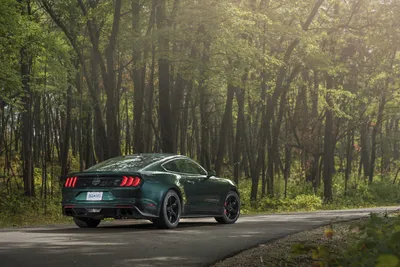 Обои красивый черный Ford Mustang GT500 красные полосы на рабочий стол