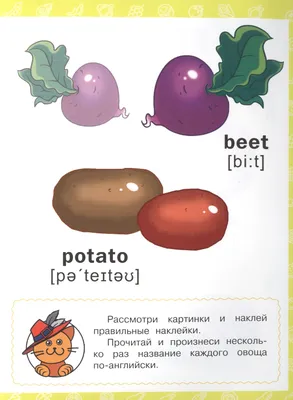 20 Бесплатных Карточек Фрукты на Русском | PDF