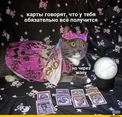 Гадание на игральных картах. Как предсказывать будущее на колоде из 36 карт.  Анна Огински - «Прекрасный самоучитель для изучения гадания на игральной  колоде и для новичка и для опытных людей» | отзывы