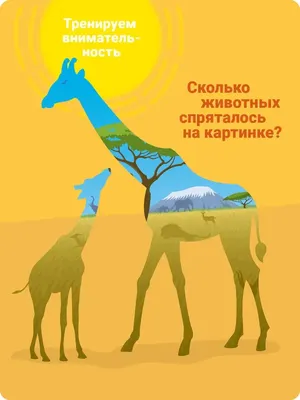 https://www.maam.ru/detskijsad/didakticheskaja-igra-nastolnaja-puteshestvie-po-sahalinskomu-zobotanicheskomu-parku-dlja-detei-5-6-let.html