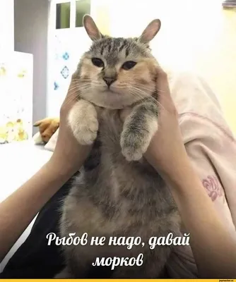 russian по низкой цене! russian с фотографиями, картинки на бронзовые  статуи зайца фотографии.alibaba.com