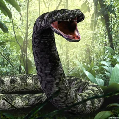 Мультяшная змея - Png (пнг) картинки и иконки без фона