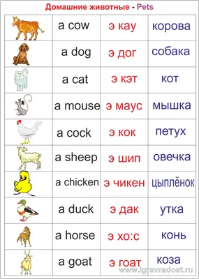 Топ 100 Глаголов на Английском языке с картинками.#2 - YouTube
