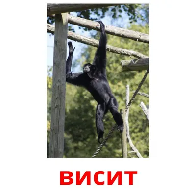Иллюстрация 9 из 12 для Русский язык. Глагол. 4 класс. Разноуровневые  развивающие упражнения. ФГОС - Марина Енжевская | Лабиринт - книги.  Источник: Камила