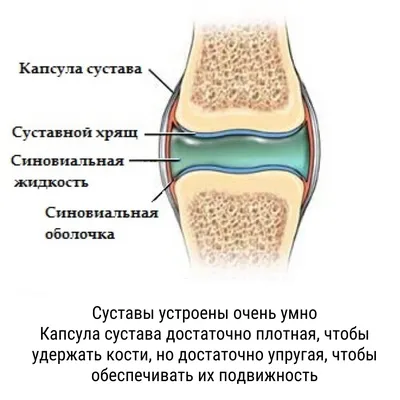 картинки : рука, Нога, Танцевать, Сидящий, Черный, Мускул, балет, тело  человека, Исполнительское искусство, смысл, Человеческие позиции 3216x2136  - - 36807 - красивые картинки - PxHere