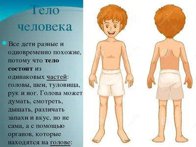 Вены и варикоз голени | Доктор Гульнара Мазитова | Дзен