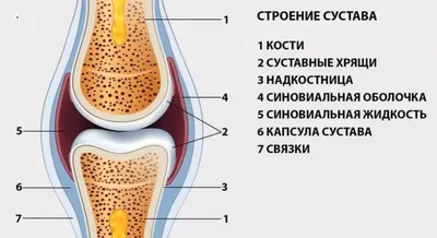 картинки : башмак, ноги, влажный, Нога, весна, Мода, тело человека, на  открытом воздухе, обувь, Кроссовки, Обратный, катание на роликах 3872x2592  - - 1174380 - красивые картинки - PxHere