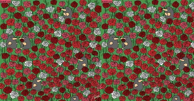 Ubego - Уличные квесты и Экскурсии - Новая головоломка!☺️ Найдите зонт🌂 на  картинке💡 Больше загадок в квестах в приложении https://bit.ly/39AiIaN  #квесты #игры #экскурсии #любимые #друзья #отдых #загадка #головоломка |  Facebook