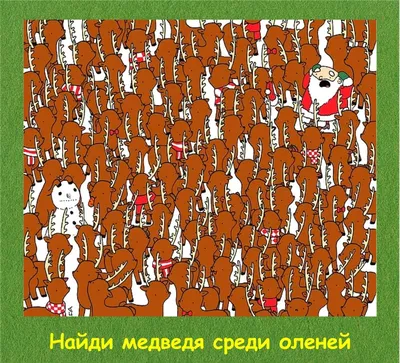 Найти на картинке отличие смогут немногие: два мяча выглядят почти  одинаково - Рамблер/женский
