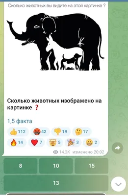 Сколько животных на картинке