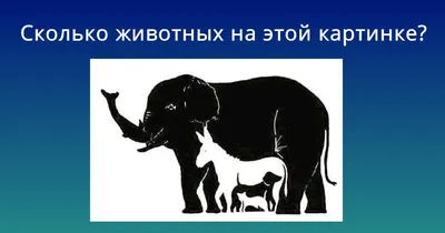 100-летняя головоломка: Сколько животных и лиц спрятано на картинке |  Инфониак | Интересно и полезно | Дзен