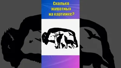 Головоломка сколько животных на картинке фотографии
