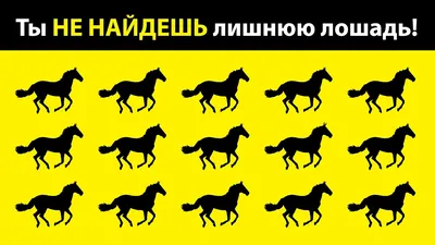 I love you 100 Languages - 5 soniyada Mushukni topib Kommentariya yozing  🐱🐱🐱 Obuna bo'ling 😝 @i_love_you_kulon_tashkent #головоломки #загадки # головоломка #загадка #логика #внимательность #всебудетхорошо #bizbirgemiz  #kargalykz #market #olx #slando ...
