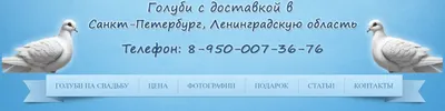 Голуби Черно-Белый Свадьба - Бесплатное изображение на Pixabay - Pixabay