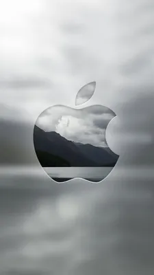 Для iPhone 14 Pro Max QIALINO Горизонтальный кожаный чехол-книжка для  телефона (коричневый)