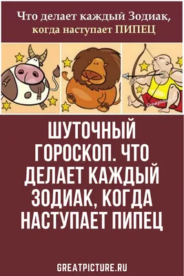Шуточный гороскоп. Что делает каждый Зодиак, когда наступает пипец |  Гороскоп, Гороскоп для водолеев, Вечеринки для взрослых