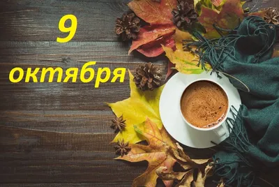 Гороскоп: истории из жизни, советы, новости, юмор и картинки — Все посты,  страница 2 | Пикабу