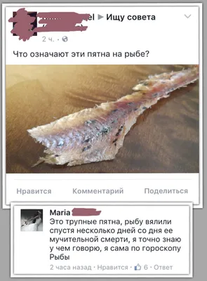 Гороскоп на сегодня понедельник 30 октября для всех знаков зодиака от  астролога - 1+1