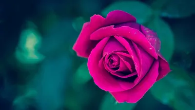 Красивые авы | Эстетика | Красивое амино Amino