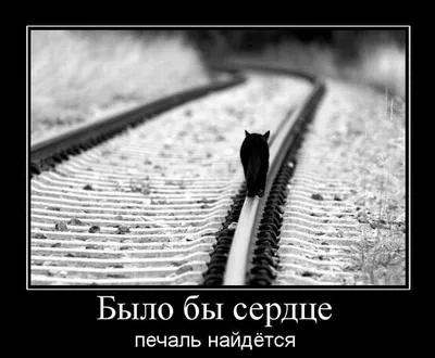 MERAGOR | Грустный парень сидит в капюшоне на опушке фото скачать аватар