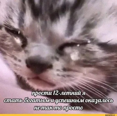 Жизненные, яркие и грустные надписи наших будней