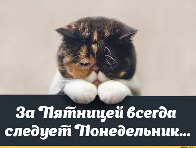 Обои HD: Картинки и заставки – скачать приложение для Android – Каталог  RuStore