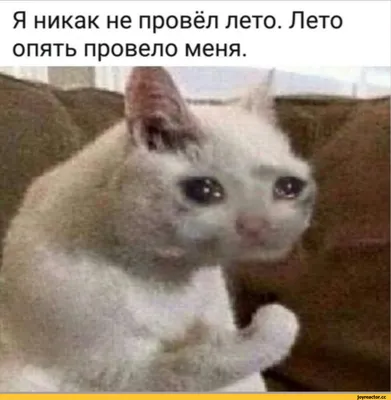 Грустные надписи на стенах(фотоподборка) | Окружающий мир | Дзен