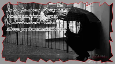 Что вы пропустили летом. Картинки