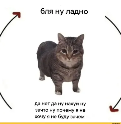 грустные картинки / прикольные картинки, мемы, смешные комиксы, гифки -  интересные посты на JoyReactor
