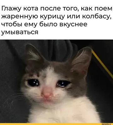 Сказка для взрослых: истории из жизни, советы, новости, юмор и картинки —  Все посты | Пикабу