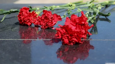 Заказать №04 Гвоздики гравировка на памятник за 350 руб.