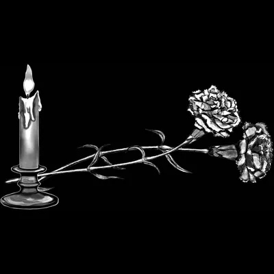 Заказать гравировку Гвоздики №2 на могильном памятнике в Москве и Москве