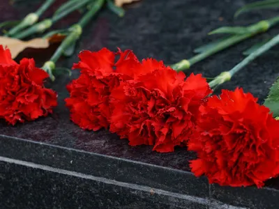 Создать мем \"две гвоздики, гвоздики на памятник, 2 гвоздики\" - Картинки -  Meme-arsenal.com