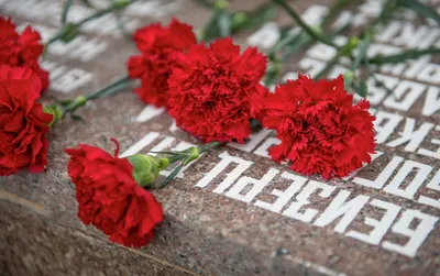 Одинарный гранитный памятник «две гвоздики» 250 Памятники харьков