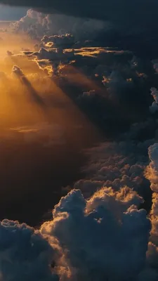 красные обои горячие для телефона новый 2021 изображение Hd Иллюстрация  штока - иллюстрации насчитывающей темнота, разветвляя: 216933097