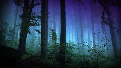 HQ Desktop wallpaper (Part 29) (18 wallpapers) » Desktop wallpapers,  beautiful pictures. Daily update