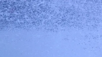 Задний фон однотонный - красивые фото