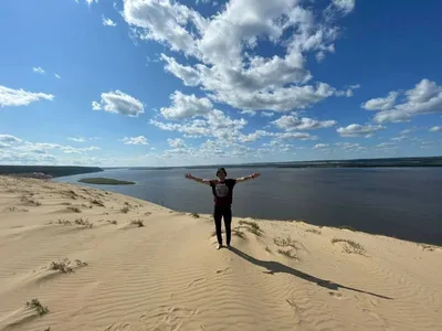 Якутская лайка собака - 67 фото