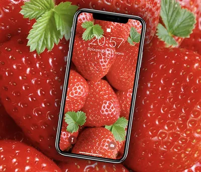 Яркие обои Motorola Edge 20 оказались в Сети до анонса [скачать]