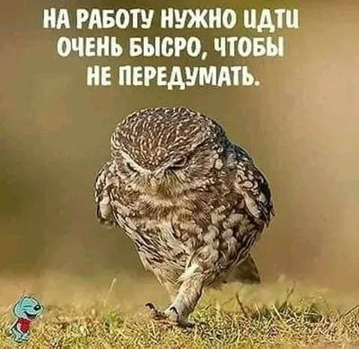 Иду на работу картинки фотографии