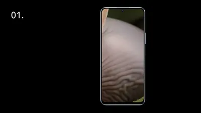 Игра угадай что скрыто на картинке фотографии