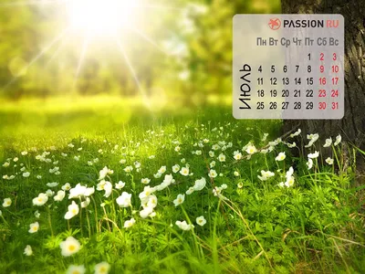 Обои для рабочего стола от Passion.ru: июль 2022 года - Страсти