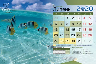 Календарь на июль 2022 года пионы и чашка кофе на столе женский рабочий стол  | Премиум Фото