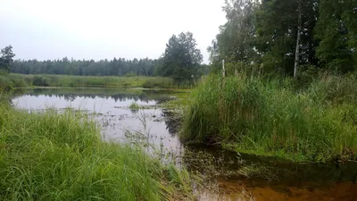 Календарь на рабочий стол с фото Витебска. Июль 2014 г. | Народные новости  Витебска