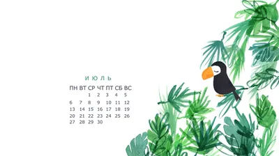 Обои на рабочий стол с фото Витебска и календарем на июль 2017 года |  Народные новости Витебска