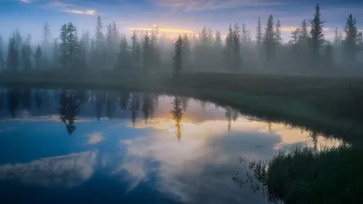Обои и календарь на июль - LOST ARK — официальный сайт Action-MMORPG