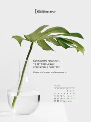 Обои на рабочий стол: Ели, Природа, Небо, Поле, Июнь, Цветы, Лето,  Одуванчики - скачать картинку на ПК бесплатно № 61542