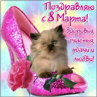 Картинки поздравления интересные с 8 марта (42 фото) » Юмор, позитив и  много смешных картинок