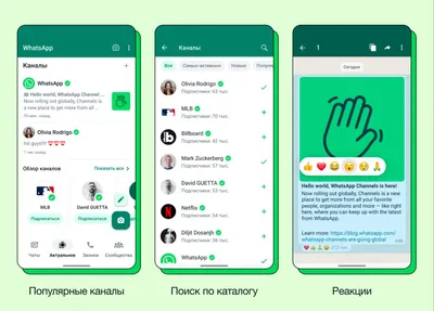 WhatsApp новые интересные стикеры | ВКонтакте